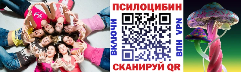 Псилоцибиновые грибы Psilocybe  хочу наркоту  hydra вход  Усть-Кут 